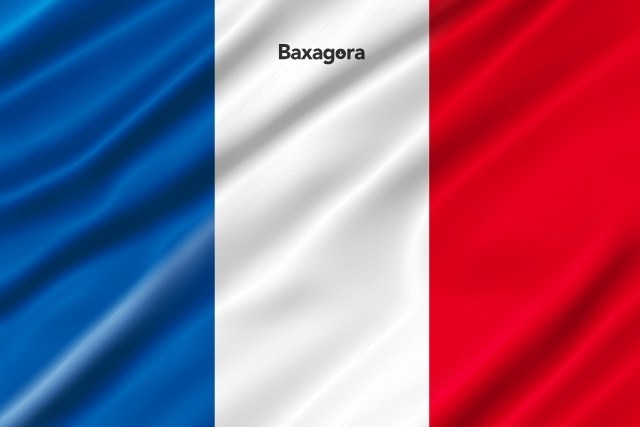 Clases de francés online- aprende desde casa con una app completa