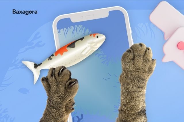 juegos para gatos - games for cats
